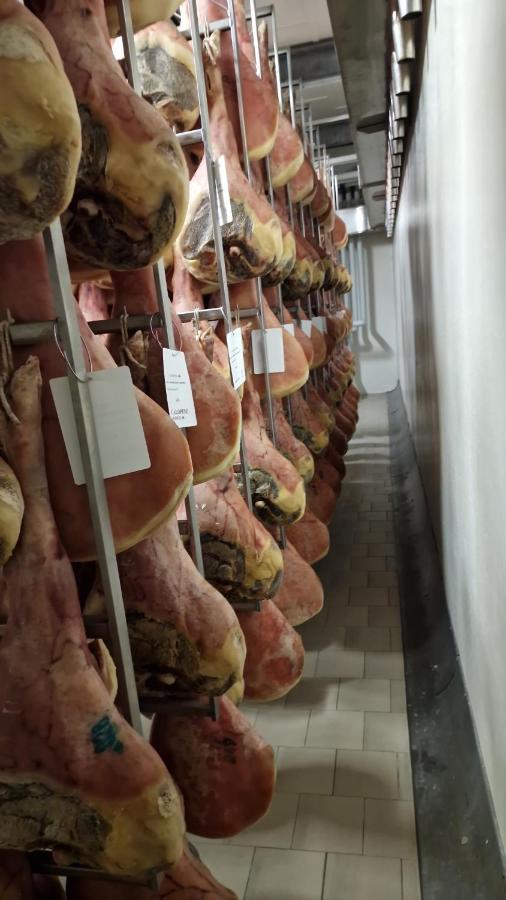 B&B Borgo Tesis Spilimbergo Dış mekan fotoğraf